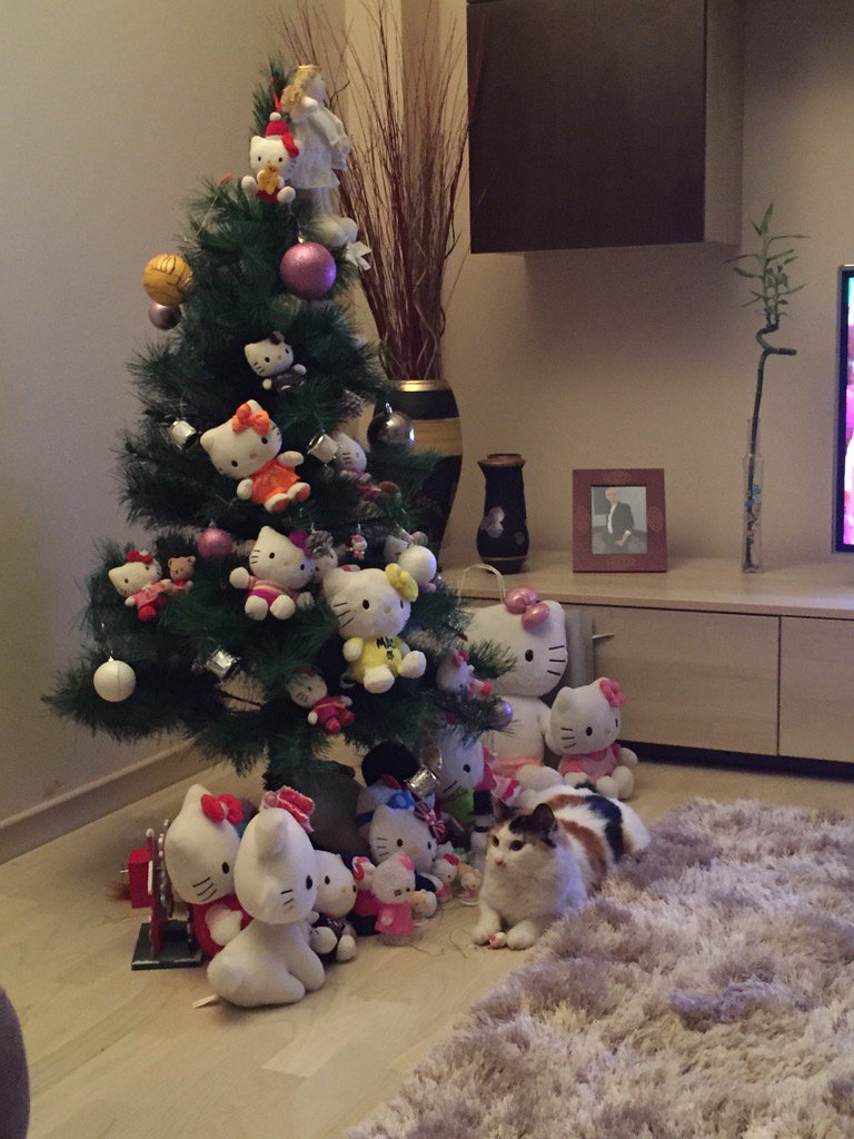 bucatica's tweet photo. Miawechristmas ! https://t.co/x25yB5MiE3
