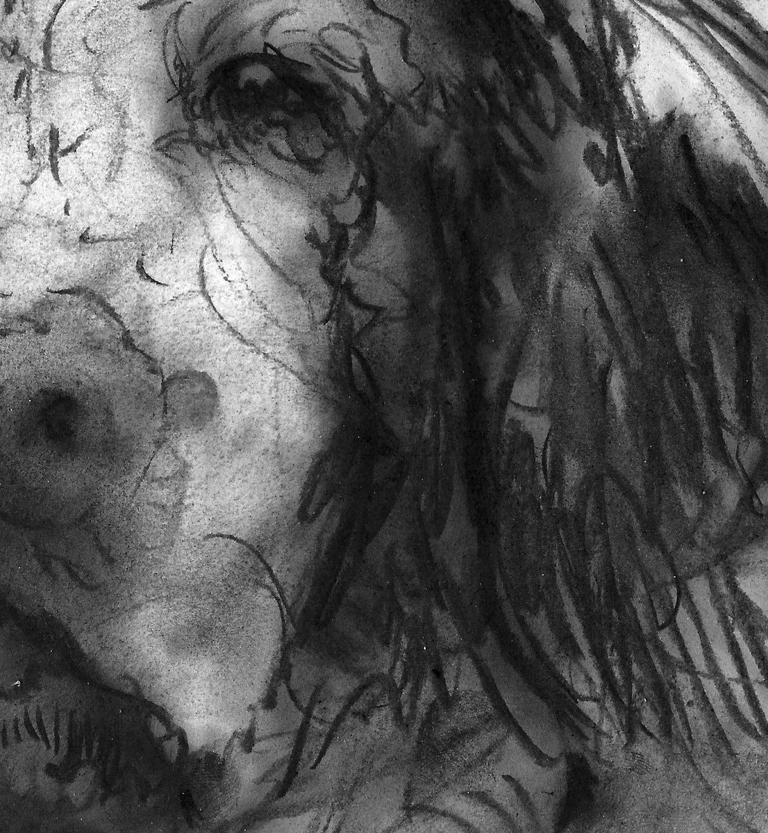 OscarJetson's tweet photo. Brittany Spaniel Print ,Charcoal brittany spaniel dog charcoal drawi… https://t.co/Yc4DeFsuCg #dogs #SpanielPortrait https://t.co/ZseL2PAdHl