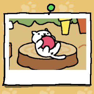 gw_geesub702000's tweet photo. Dos cat is to much wit a ball π#attacobell https://t.co/jS8PWfLfbM