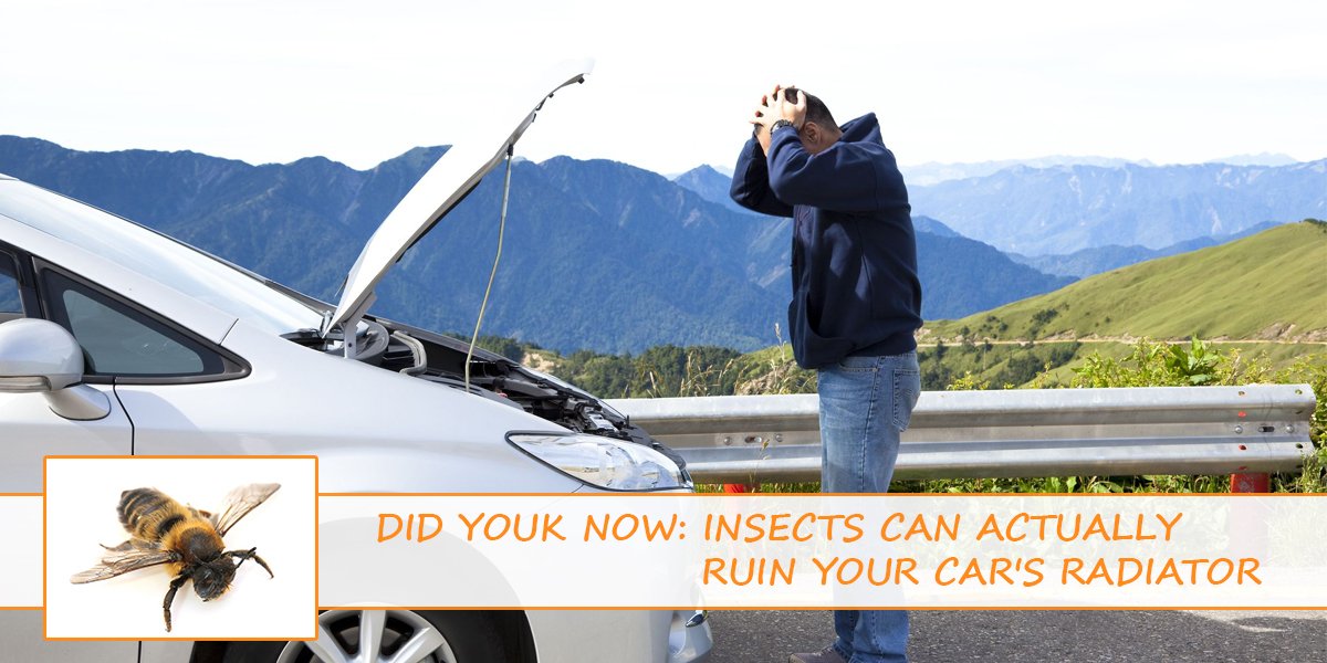 AlphaDistrib's tweet image. #DidYouKnow: Insects can actually ruin your car's radiator? Visit: goo.gl/yFnZVC to know more.