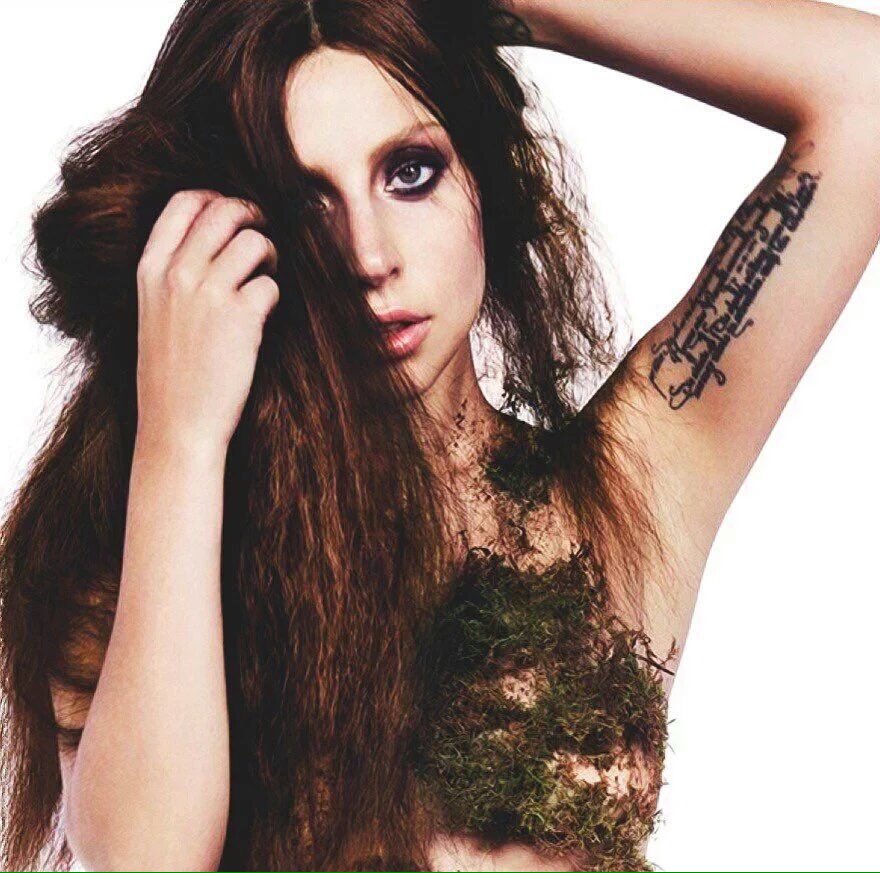 whatsnextfandom's tweet photo. Rt for lady gaga
Like for Rita ora https://t.co/erVA9W47L6