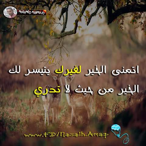 EkramyNageh's tweet photo. https://t.co/gNcf0yArO4