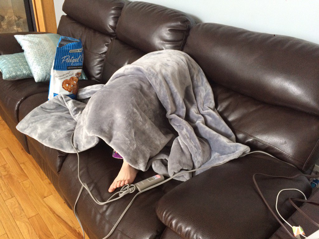 SooperBe's tweet photo. Since Connor got his electric blanket for Xmas we haven't seen him. #hateswinter #metoo https://t.co/QcSt7CLI8z