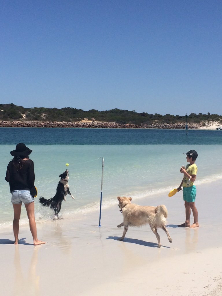 rokrt73's tweet image. Esperance Inlet.. Great flat water SUP...waves around the corner🌊😏