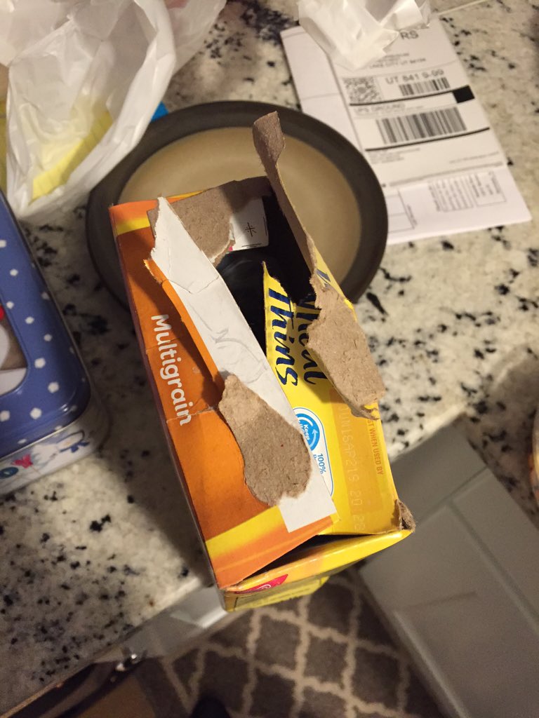 PorcelliniD's tweet photo. This is how my boyfriend opens the wheat thin box. Every time. https://t.co/bxMCfRUipJ