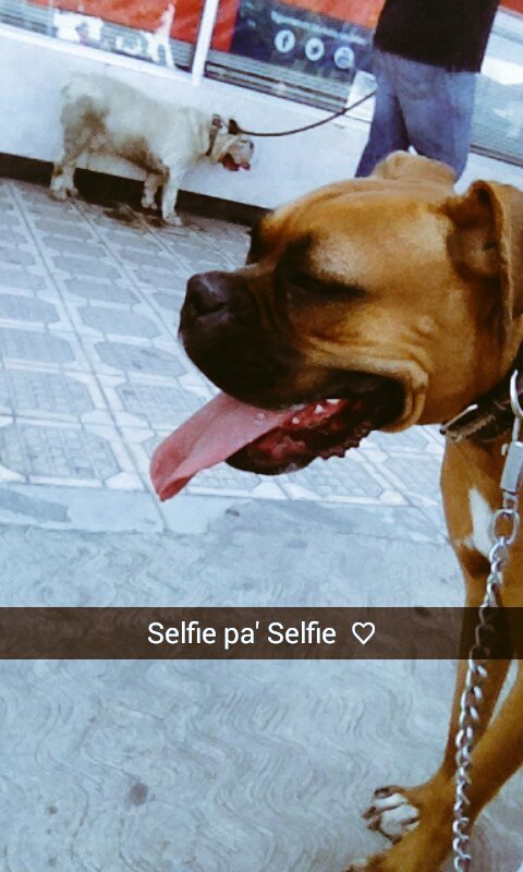 fostperez's tweet image. la best'