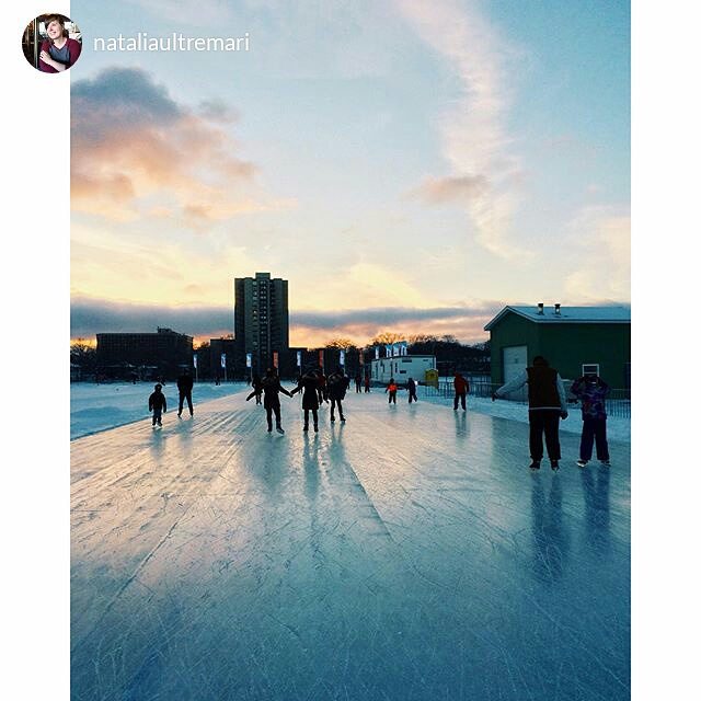 haligoniaphotos's tweet photo. from @nataliaultremari Another afternoon at the Oval. #cannotfeelmylegs #emeraoval #iceskating @haligonia.ca https://t.co/uw8XtNwFwW