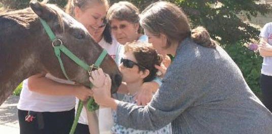 HorseNetwrk's tweet photo. Horse Visits Hospital to Say Goodbye to Dying Owner https://t.co/3OxtVae5A3 #madeuscry https://t.co/MxEzcGbPHv