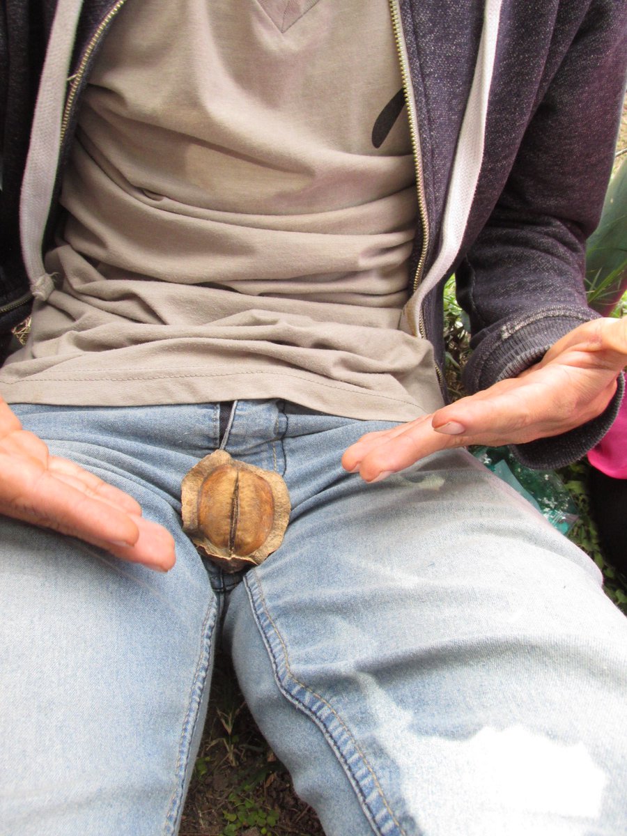 fostperez's tweet image. titino esta en casaa. #papayadecelaya