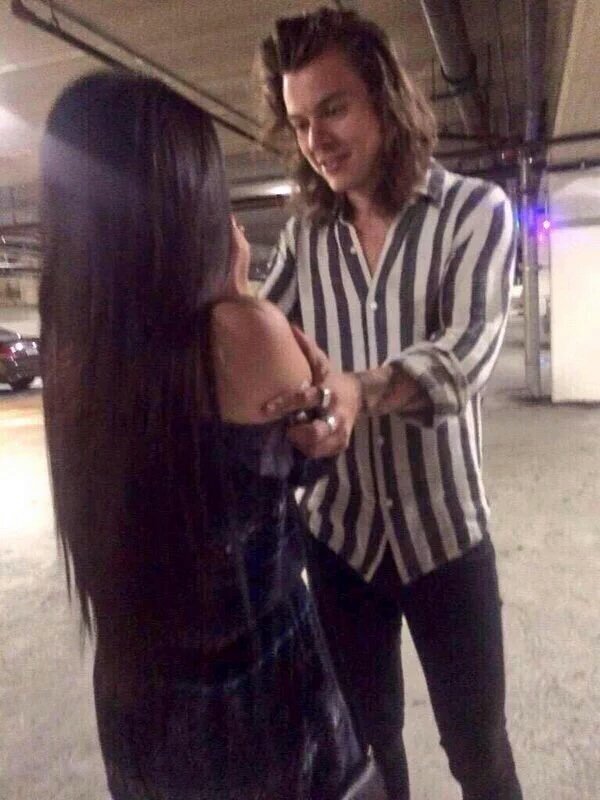 ArtisaSurvive's tweet photo. meet Harry Styles https://t.co/s2UecK5jp9