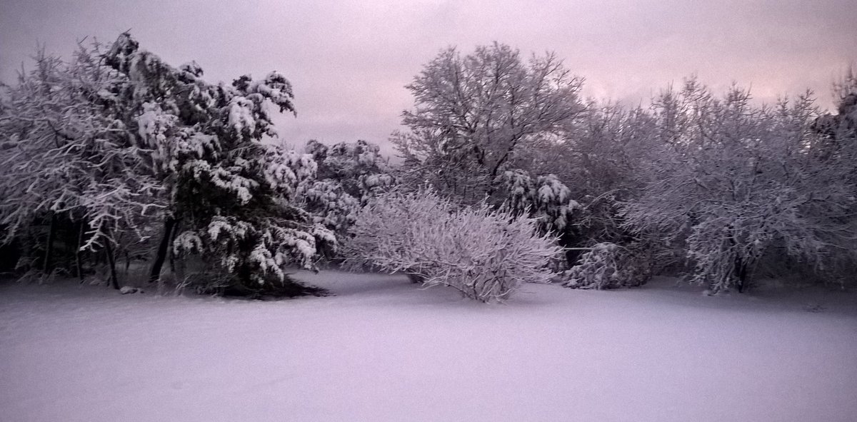 My front yard view....