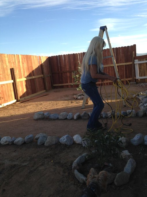 Me working in the yard https://t.co/MB6bD9vEuE