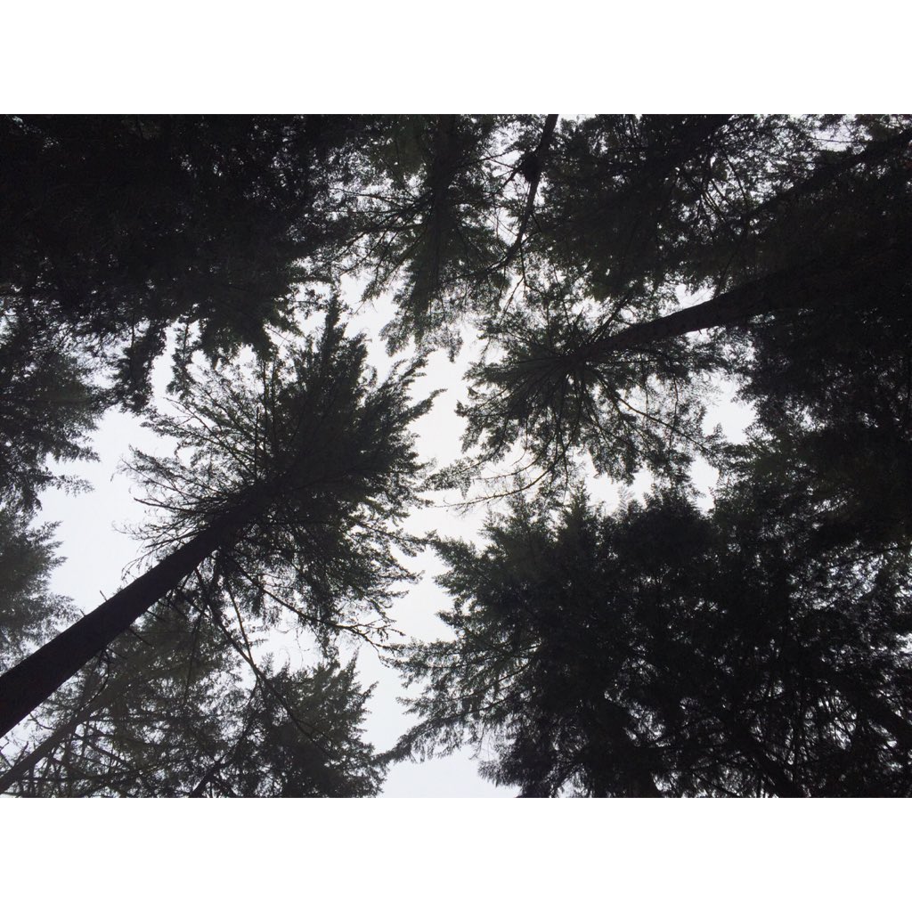 Monica Lynch tweet media