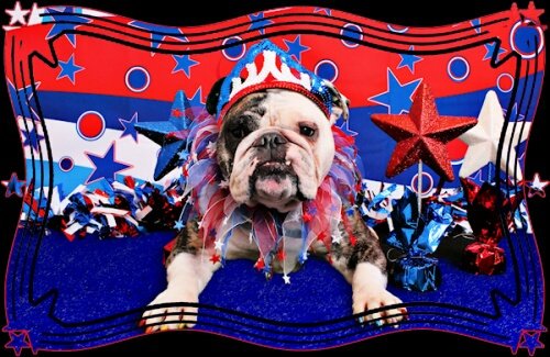  Happy birthday Robin, have fun and be safe. You are a shining star 