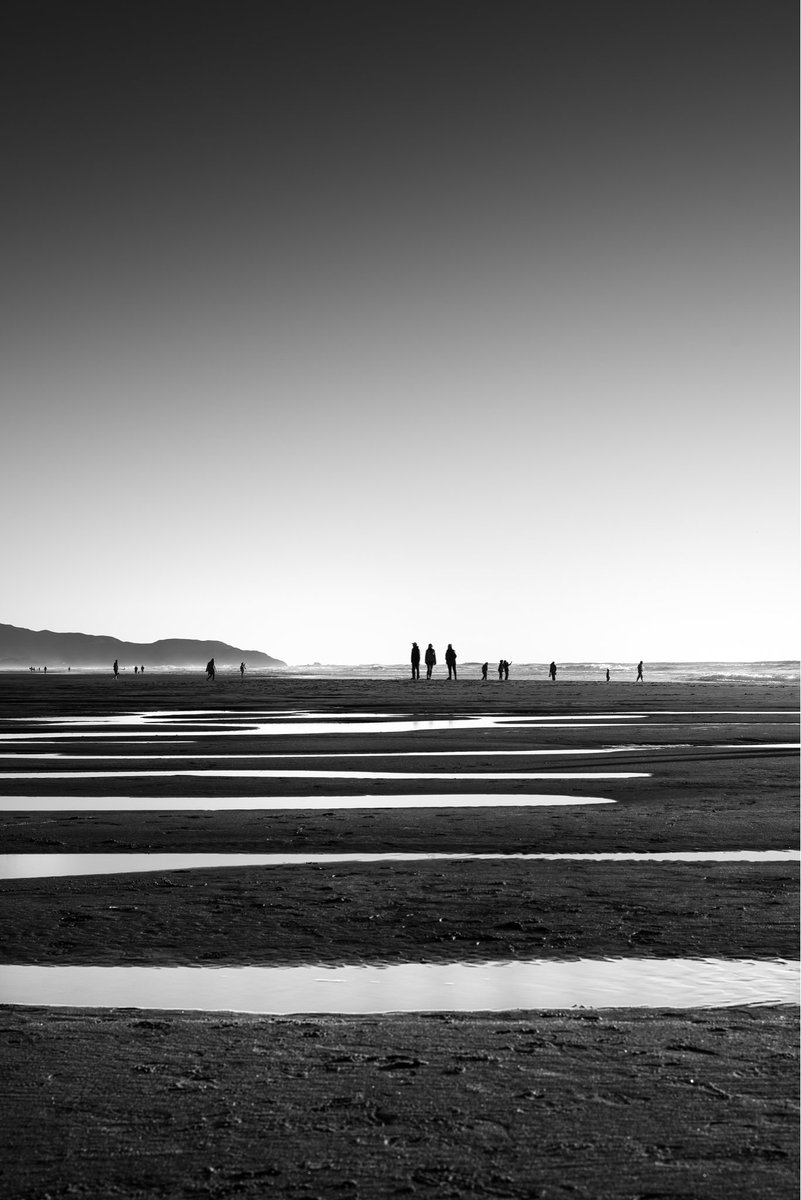 pixelanche's tweet image. Lines in the sand.

#photography #blackandwhite