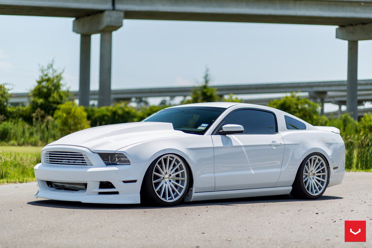 MagnificentCar's tweet photo. Ford Mustang GT 5.0😍 https://t.co/SB19TJPUdv