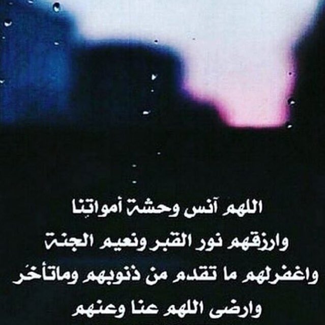 TToha2 tweet picture
