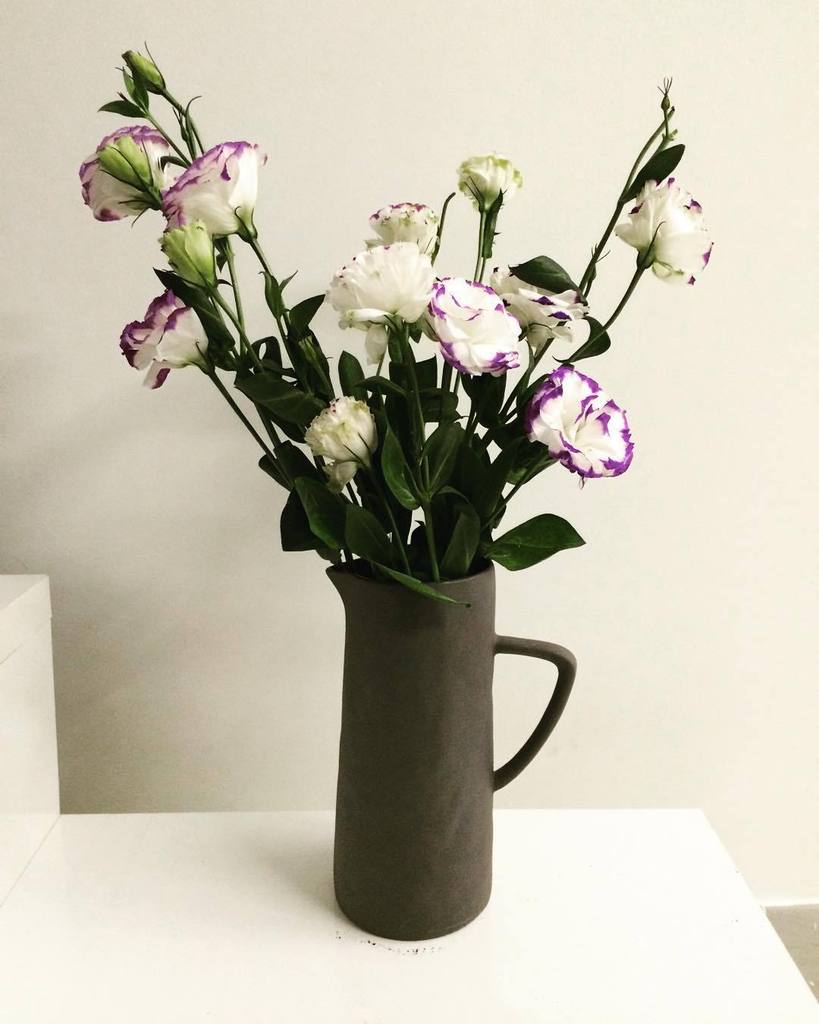 MissEmmaMcG's tweet photo. Making this house a home. #saigon #hochiminh #vietnam #flowers #nesting #decosy #digitalno… https://t.co/GrkddnoN5l https://t.co/Glyetdlbhb
