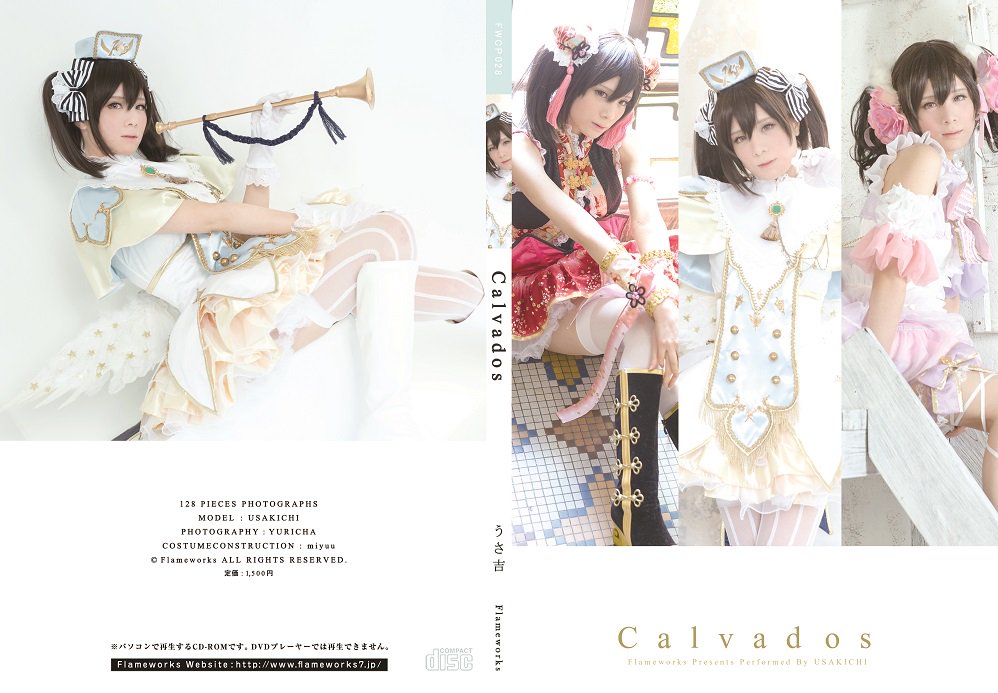 Txertatutako irudiaren behin betiko esteka