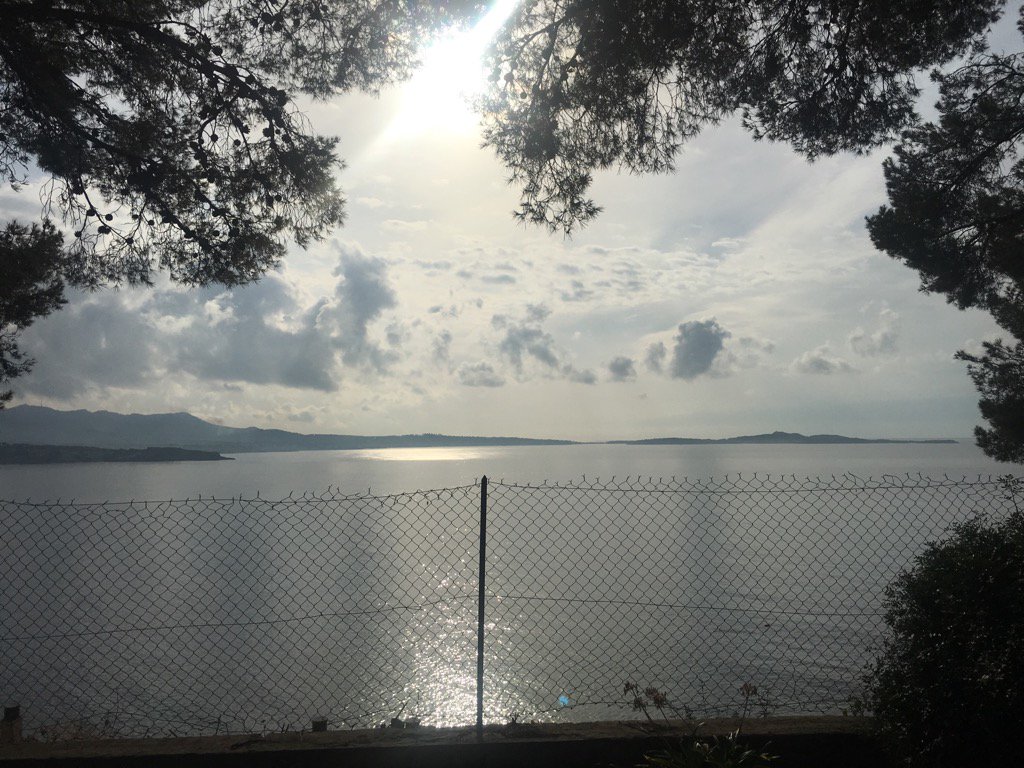 Mission 31 tweet media