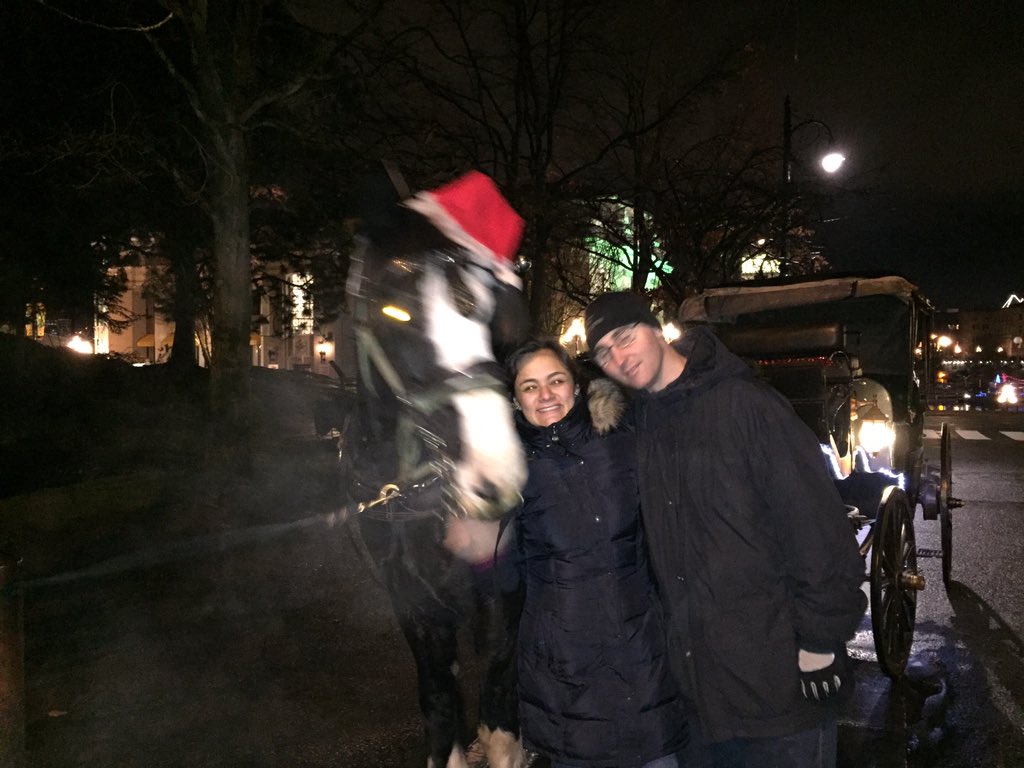 Mi amigo, el caballo, con todo y Su gorro navideño.