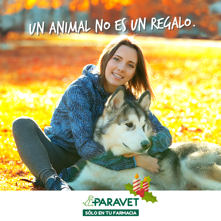 Paravet_Spain's tweet photo. Recuérdalo estas Navidades. https://t.co/TOHbbgQ81a