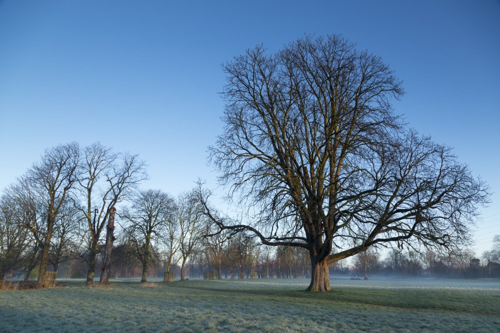 Could it be the best toy in the world? bit.ly/1MEtmIF – Discover our top things to do with a humble stick.