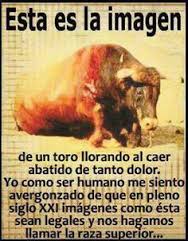 vmm7773's tweet photo. #MentirasMasUsadas
El toro no sufre.
Es arte.
Es cultura. https://t.co/sgS78TSjBp