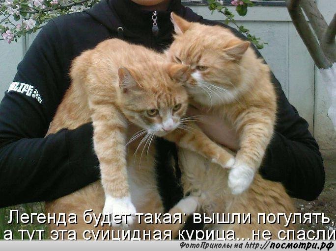 Владимир  Пономарев (@ulad1952) on Twitter photo 