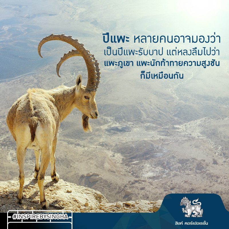 จงมองตัวเองให้เป็น "แพะภูเขา" ผู้ที่พร้อมจะก้าวกระโดดไปสู่ความสำเร็จ อย่างไม่เกรงกลัว #INSPIREBYSINGHA #Countdown
