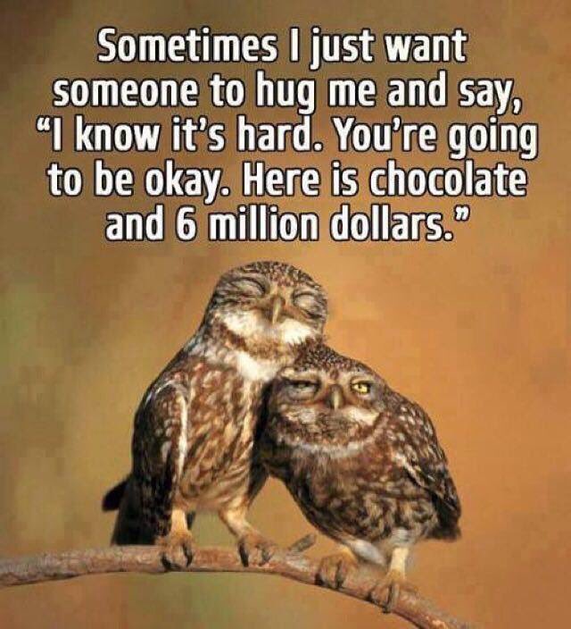 Crohns_Fighters's tweet photo. #crohnsdisease #crohns #crohnsawareness #colitis #canada #purple #inspiration #inspiringquotes #makeadi https://t.co/NSBzLwDEqe