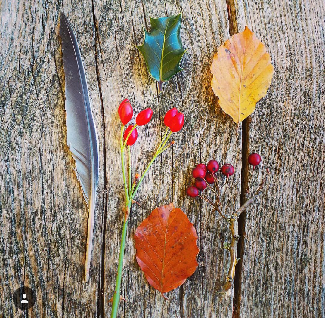 RareRadish's tweet image. Nature's treasures
#WinterWonderland #collectorofcurios #randomcollection #RareRadish