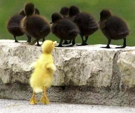 rmghiani's tweet photo. #LaParolaDaCancellare
Discriminazione
@CasaLettori https://t.co/gJyBM5vOcq