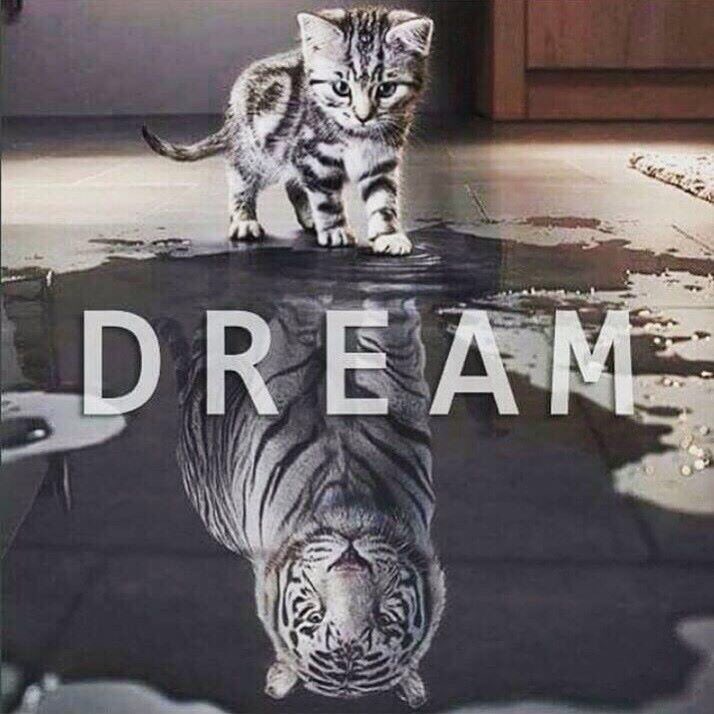 TitleU's tweet photo. Dare 2 Dream
#titleicon  

Awesome life คลิก 👉🏻https://t.co/a8tRXudv4a https://t.co/D26VQ2xfkI