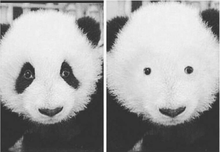 libansky25's tweet image. On a tous un pote quand il enlève ses lunettes sa fait le même effet que ça