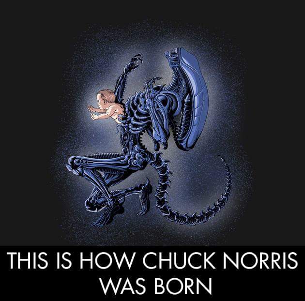 Chuck Norris Aka Chuck Norris  CXZ1UAuWMAAI5UH