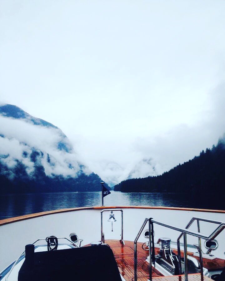 goodcatco's tweet photo. Beyond the misty mountains #goodcatco https://t.co/g9YwqPD8Y2