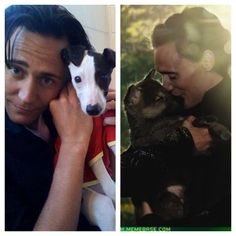 Hiddlestonspecs's tweet photo. When you envy the animals #thomastuesday #TomHiddleston #becauseanimals 😉 https://t.co/LyMXXbhIZJ