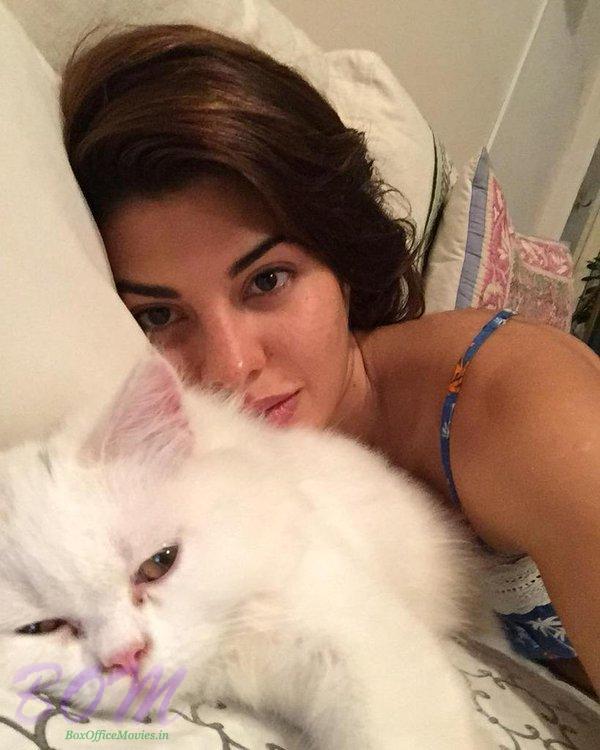 Embedded image permalink