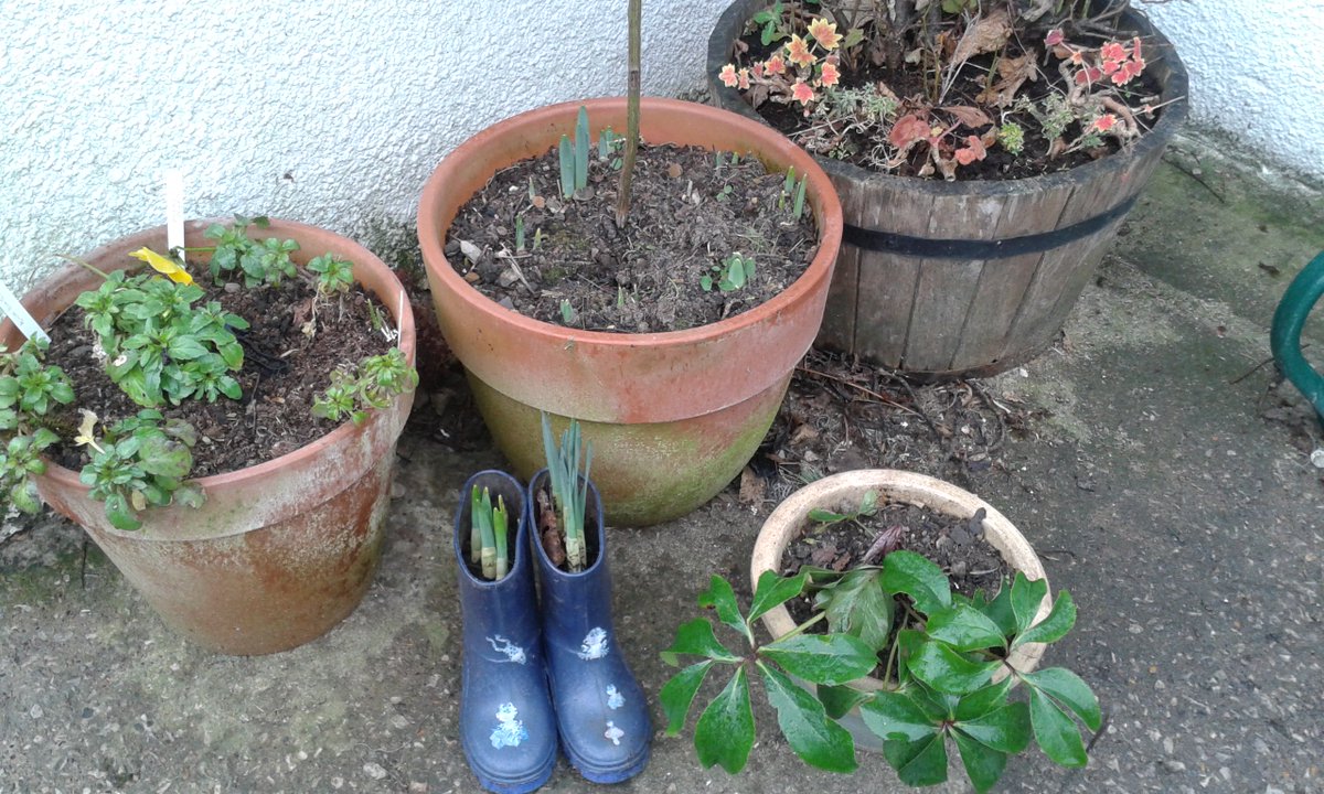 An early spring? Fingers crossed for #2016 #happyboardgames!