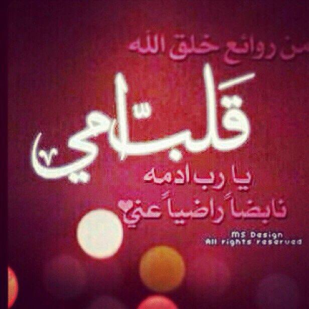 #لبيه يالجنوب✨🇸🇦 tweet media