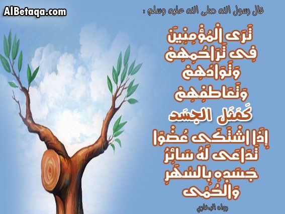 KsaHealing's tweet photo. متطوعون لتوفير الدواء للمحتاجين في مدينة الرياض مع التوصيل ☺️ https://t.co/tUB0Q6Jafh