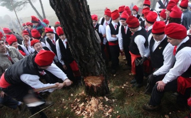 OsonaTurisme's tweet photo. Aquest dimecres no et perdis la tradicional Festa del Pi de #Centelles --> https://t.co/5OCNp1AX7Q https://t.co/TKBAHgL6GL
