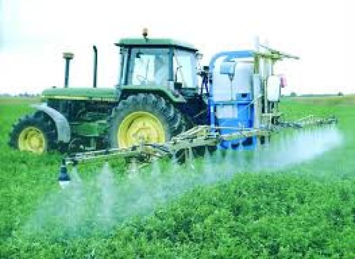 AgrSostenible's tweet image. Hongos para usar menos agroquímicos buff.ly/1JGLtOg