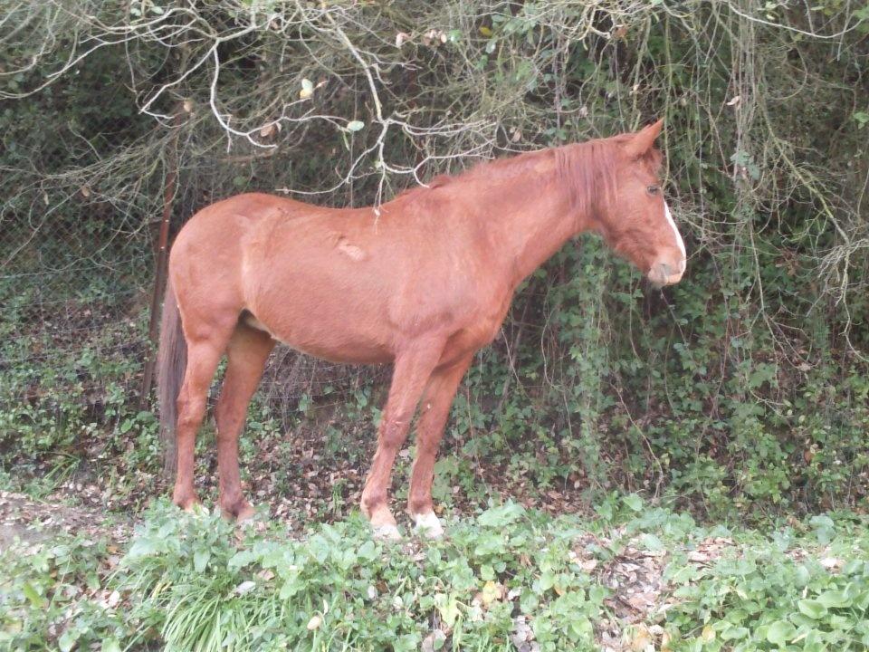 CustomlineThe's tweet image. 