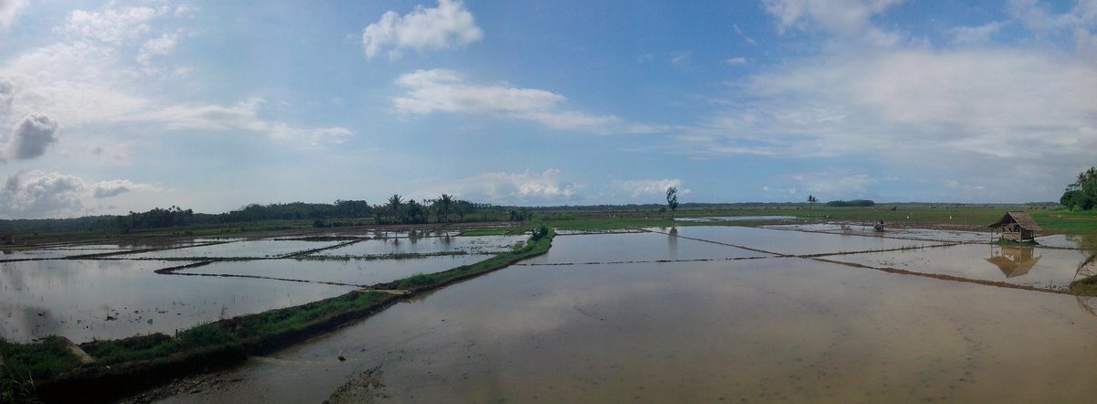 gantijateng's tweet photo. Pengolahan Lahan Sawah Pertanian Organik tahap II. *Semagat buat Keluarga Besar Paguyuban Petani Organi Malingping https://t.co/26K4R7sX1o