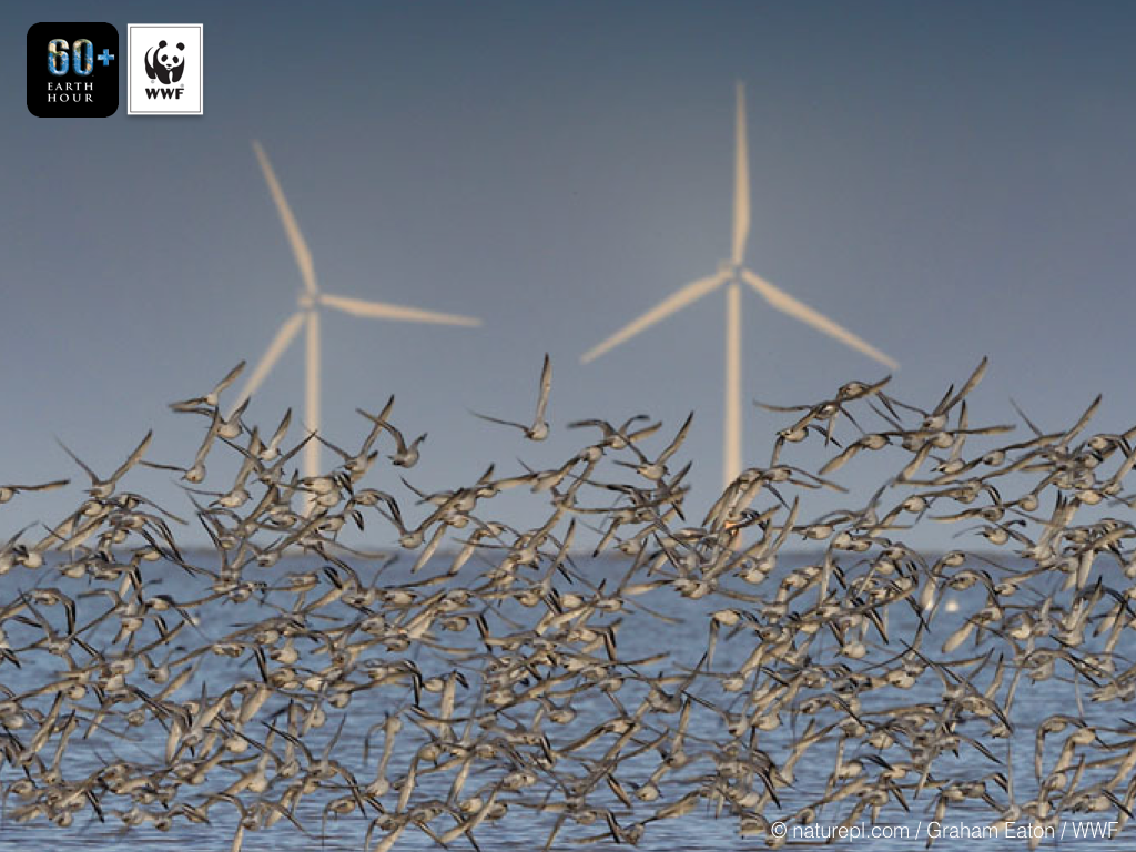 earthhour's tweet photo. #ClimateHighlights: 1000 mayors voiced their commitment to shift towards 100% renewable energy by 2050 at #COP21! :D https://t.co/8BHeHkkmtH