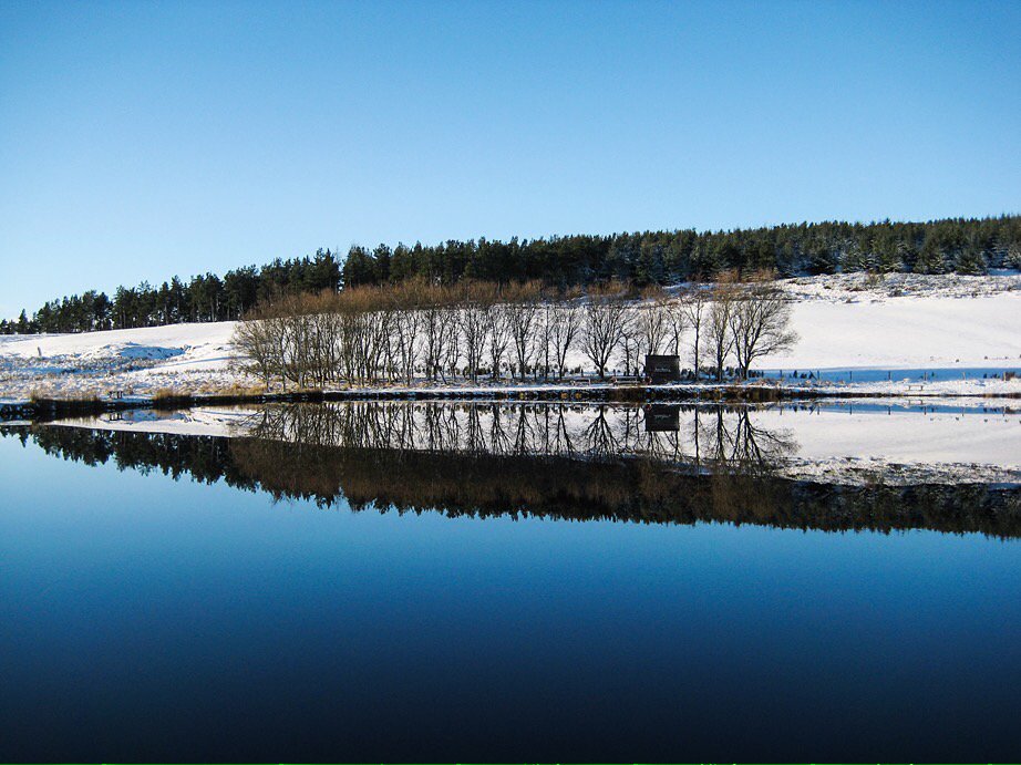 JDyasDavidson's tweet photo. Flat calm. #tarland #Aberdeenshire #cockforest #fishingpond #reflection https://t.co/z0y20hiW3n