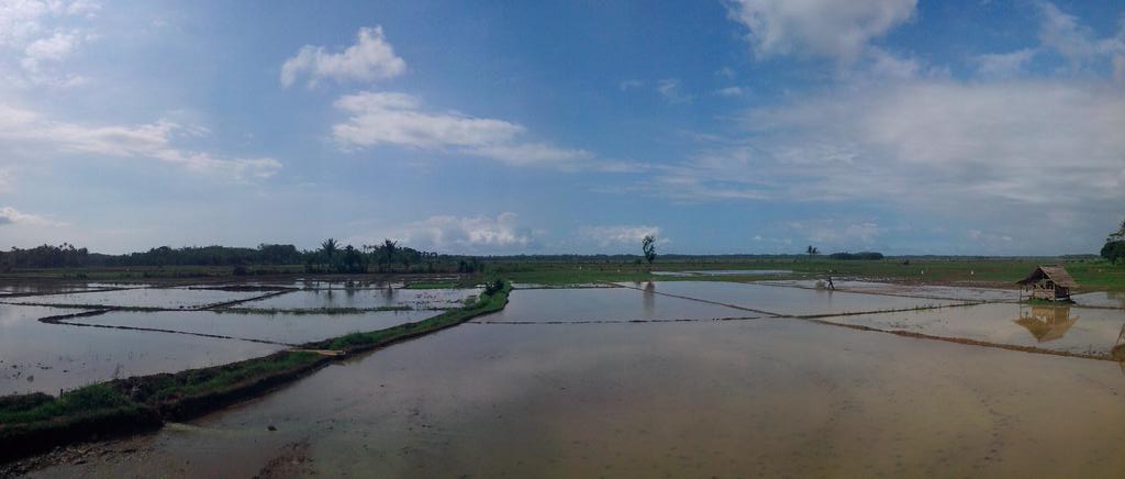 gantijateng's tweet photo. Persiapan penanaman Padi Organik Serentak brsama Paguyuban petani Organik mnggunakan Pupuk Bio Farm telah siap 80% https://t.co/5YPBY1Z9HK