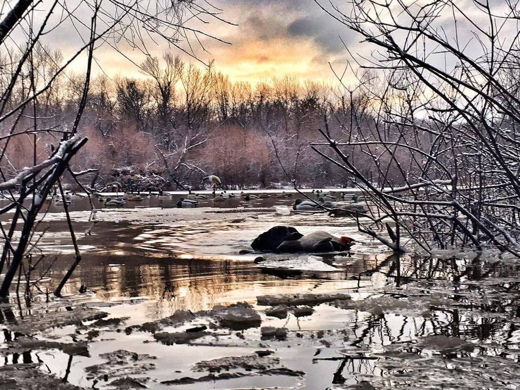 TonyVandemore's tweet photo. Last morning of #Duck2015!!!! And a beauty at that! Grateful for a huge year. Thank you to… https://t.co/be3zMmLmlR https://t.co/ZoB0RktUdg